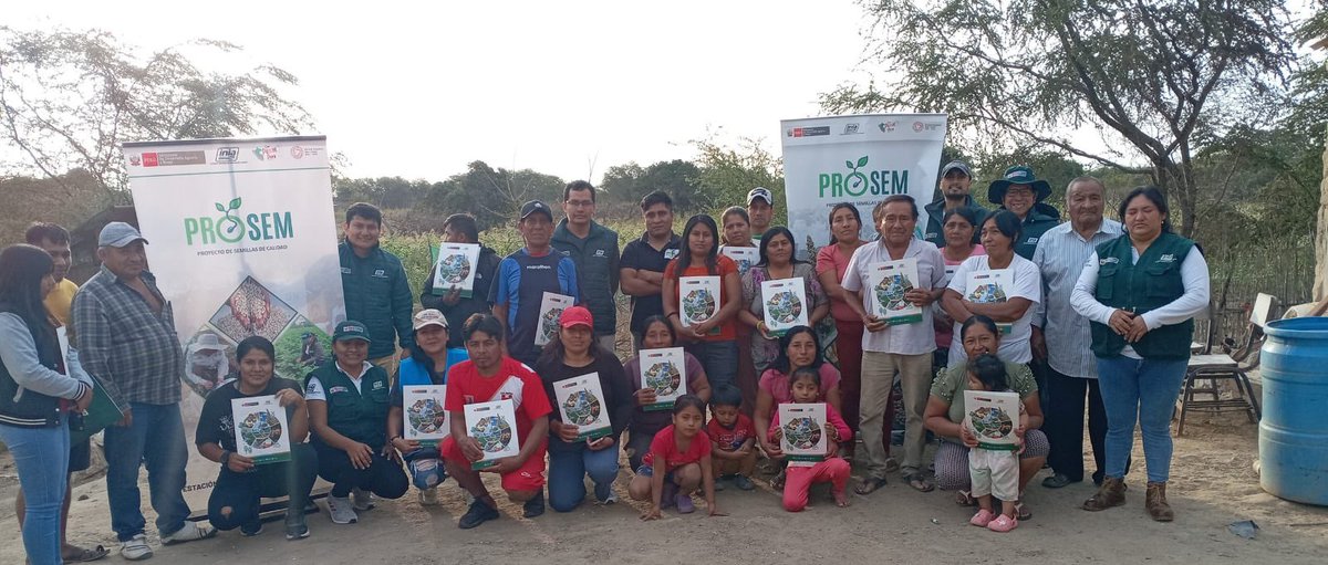 INIAPeru's tweet photo. #Lambayeque | La EEA Vista Florida a través del #PROSEM realizó El día de Campo: "Uso de semilla de calidad y manejo agronómico del cultivo de maíz amarillo duro INIA 619 Megahibrido en la costa norte del Perú". #INIA #MIDAGRI https://t.co/8S1YxOLV5M
