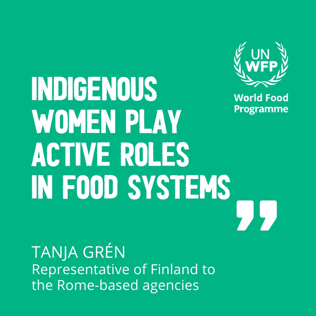 Brenda Behan (@brendambehan) on Twitter photo 🌍👩🌾 #Indigenous women are the backbone of #food systems, from production to distribution. Their traditional knowledge and sustainable practices are key to achieving Zero Hunger. #IndigenousPeoples <a href="/Ulkoministerio/">MFA Finland 🇫🇮</a> 🌍👩🌾 #Indigenous women are the backbone of #food systems, from production to distribution. Their traditional knowledge and sustainable practices are key to achieving Zero Hunger. #IndigenousPeoples <a href="/Ulkoministerio/">MFA Finland 🇫🇮</a>