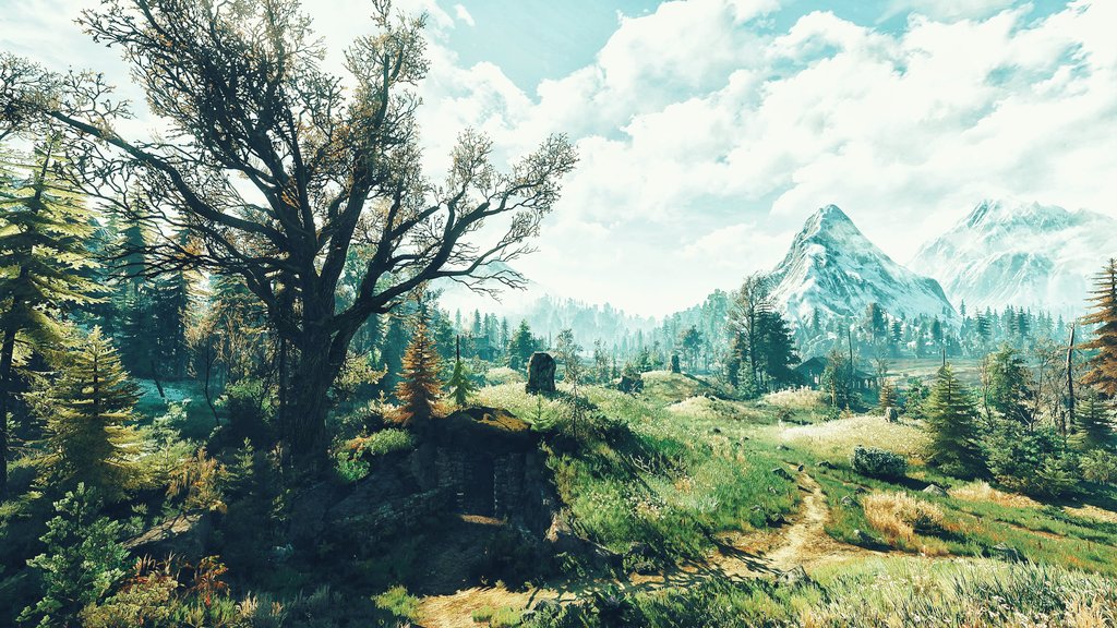 maddog7794's tweet photo. The Witcher 3: Wild Hunt https://t.co/cA8UbEn3Jf