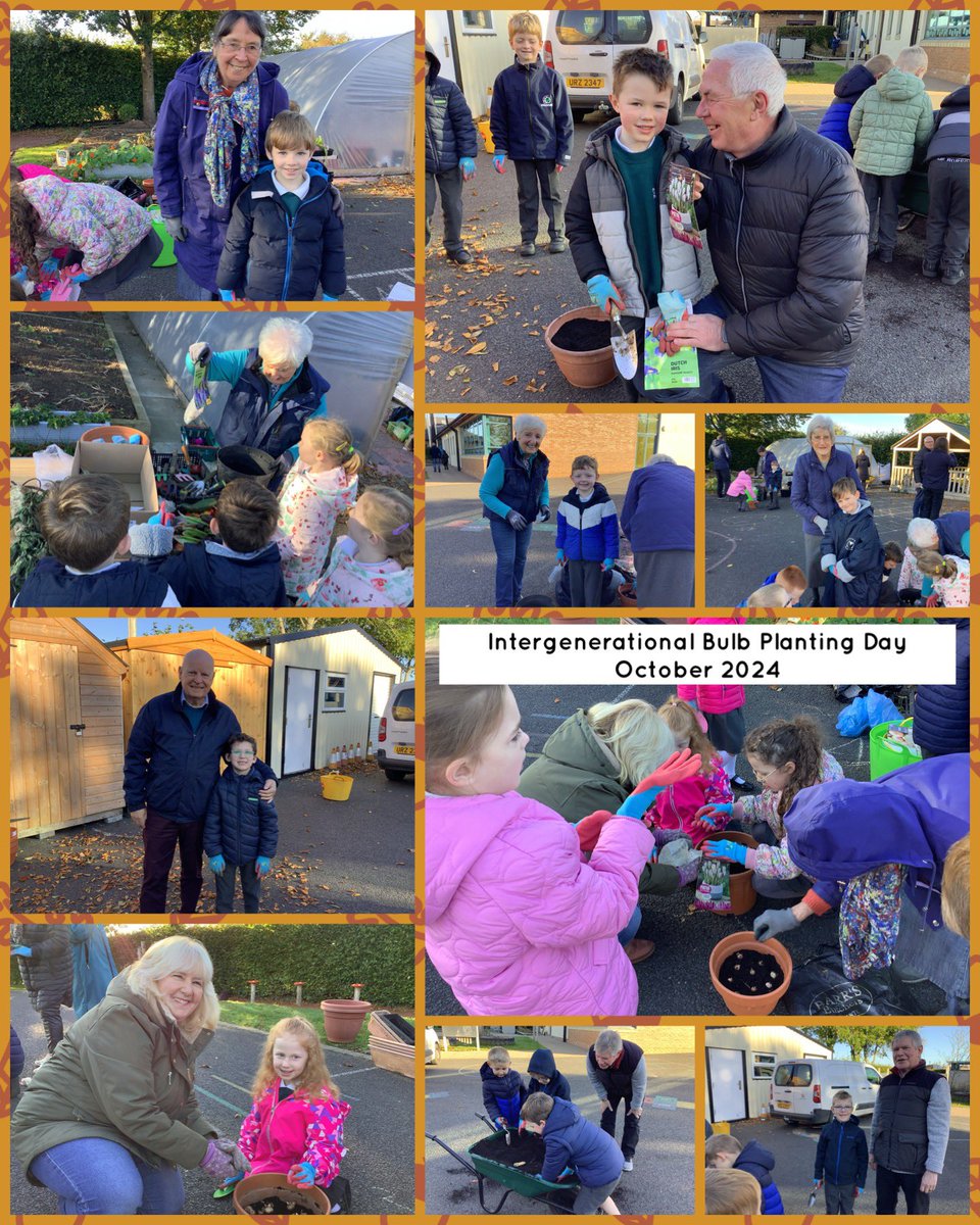 meadowbridgeps's tweet photo. P3 enjoyed a wonderful morning of ‘Intergenerational Bulb Planting’. Thank you to all who took part and made this such a special and memorable event. https://t.co/qjGpKkLPDT