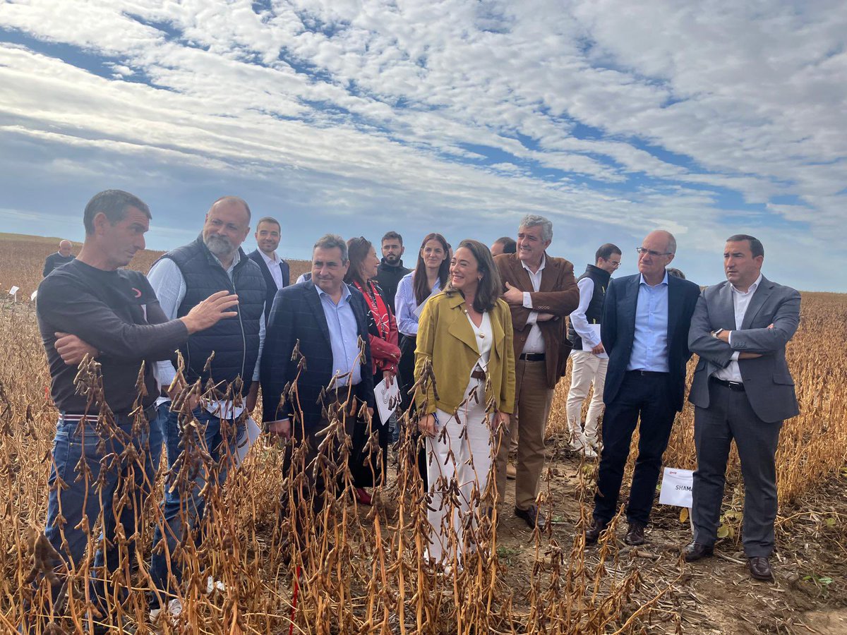 eloy1271's tweet photo. La @jcyl @ITACYL @MariaGlezCorral investigan con @Pascual y con los agricultores de #Salamanca los cultivos de #soja más rentables y más sostenibles en #CyL. En #Arabayona hemos visto los cultivos de más de 40 variedades. Sembramos, recogemos y apostamos por lo nuestro! https://t.co/HoRHg9aP2E