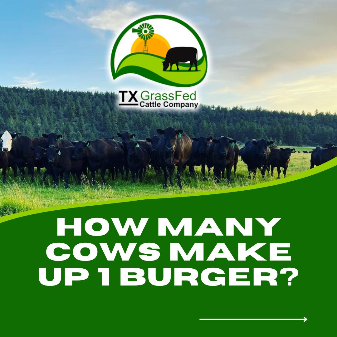 TX BAR Grassfed Cattle Company tweet media