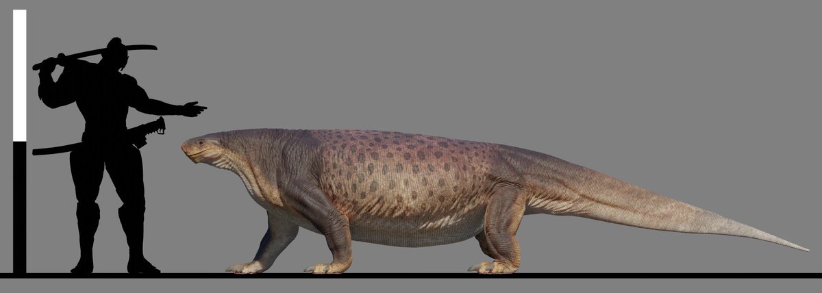 Nathan Cochran | 🦎⛵ tweet media