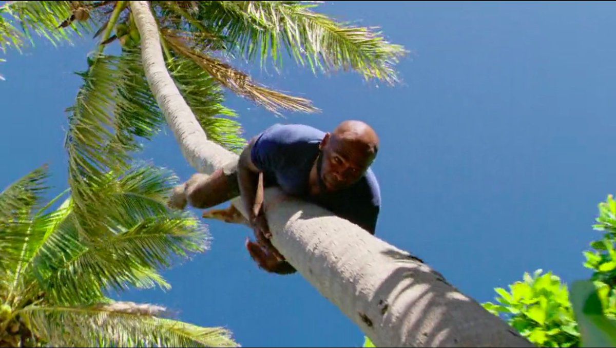 SurvivorQuotesX tweet media