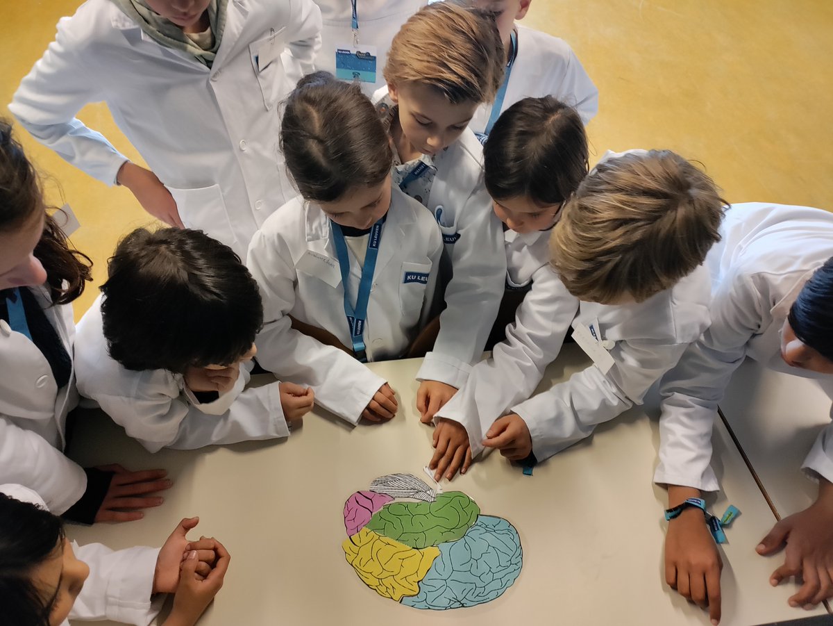 KULeuvenPT's tweet photo. Dit weekend hielpen kinderen tijdens de #Kinderuniversiteit Dr Brainstorm ontsnappen uit de klauwen van Mr Parkinson! 🧠🔍 
Dankzij collega's Lova Hulst, @GorisMaaike, en Tim Maurissens van @PRO__Labo leerden ze al spelend over onze hersenen &amp; de ziekte van Parkinson
@MoranGilat https://t.co/a25G3Gin7c