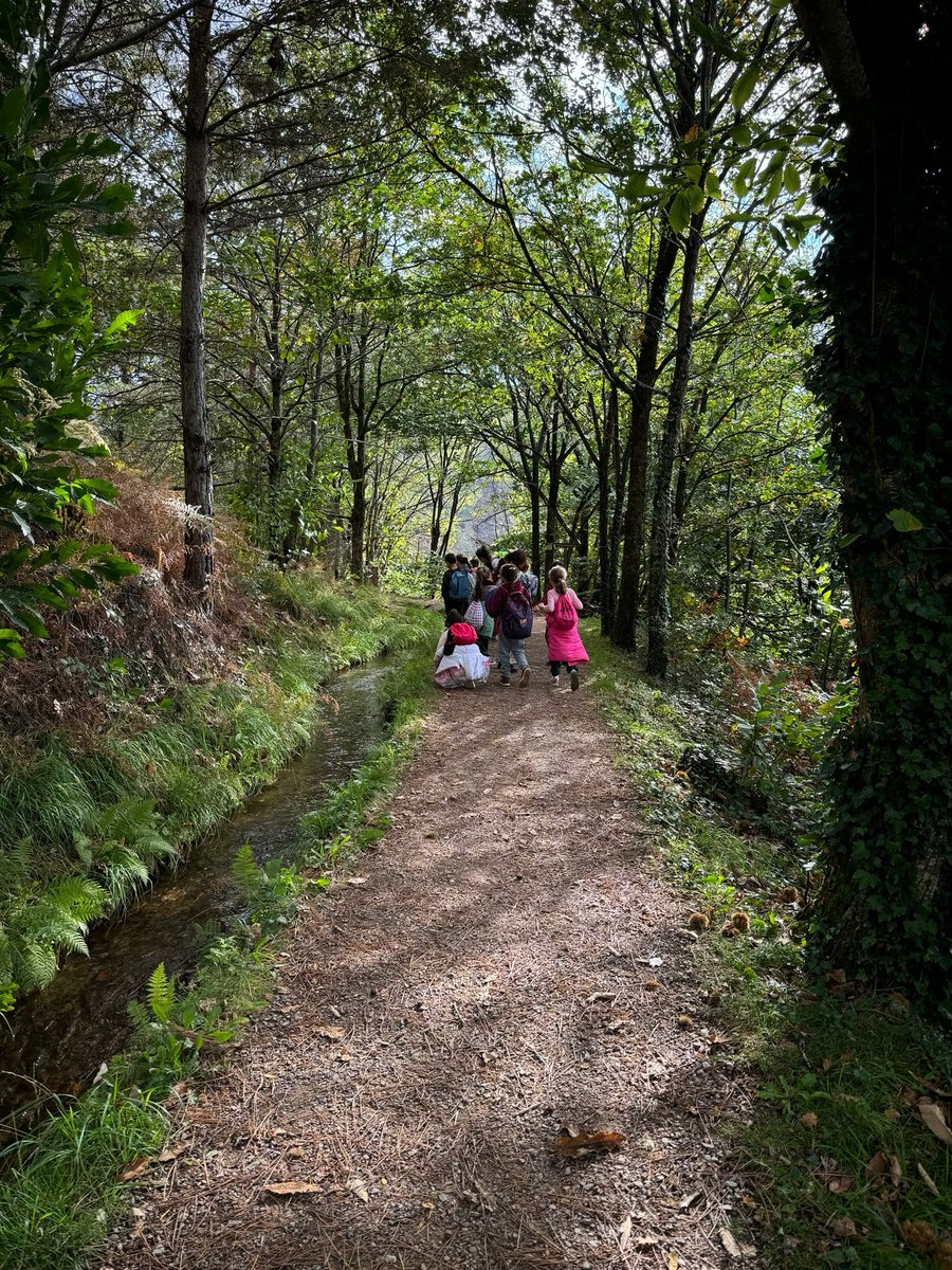 1800 élèves entre Aubazine et le lac du Coiroux dans le cadre de la "Quinzaine de la randonnée pédestre à l'école".

Les petits corrréziens ont arpenté les sentiers de 3,2 kms pour les cycles 1, 5 kms pour les cycles 2 et 9,2 kms pour les cycles 3. 

<a href="/DSDEN19/">DSDEN de la Corrèze</a> 
<a href="/aclimoges/">Académie de Limoges</a>