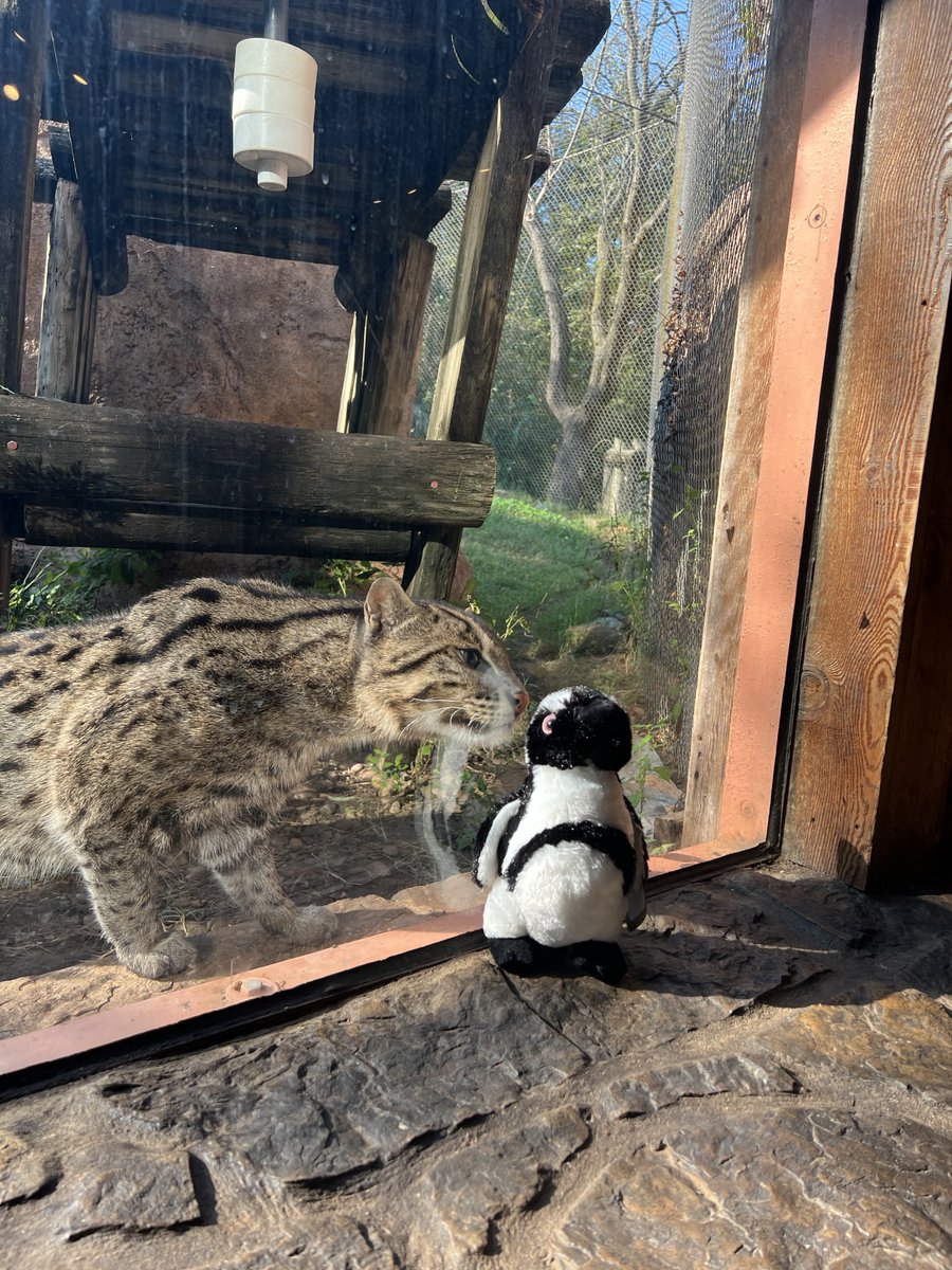 Oklahoma City Zoo and Botanical Garden tweet media