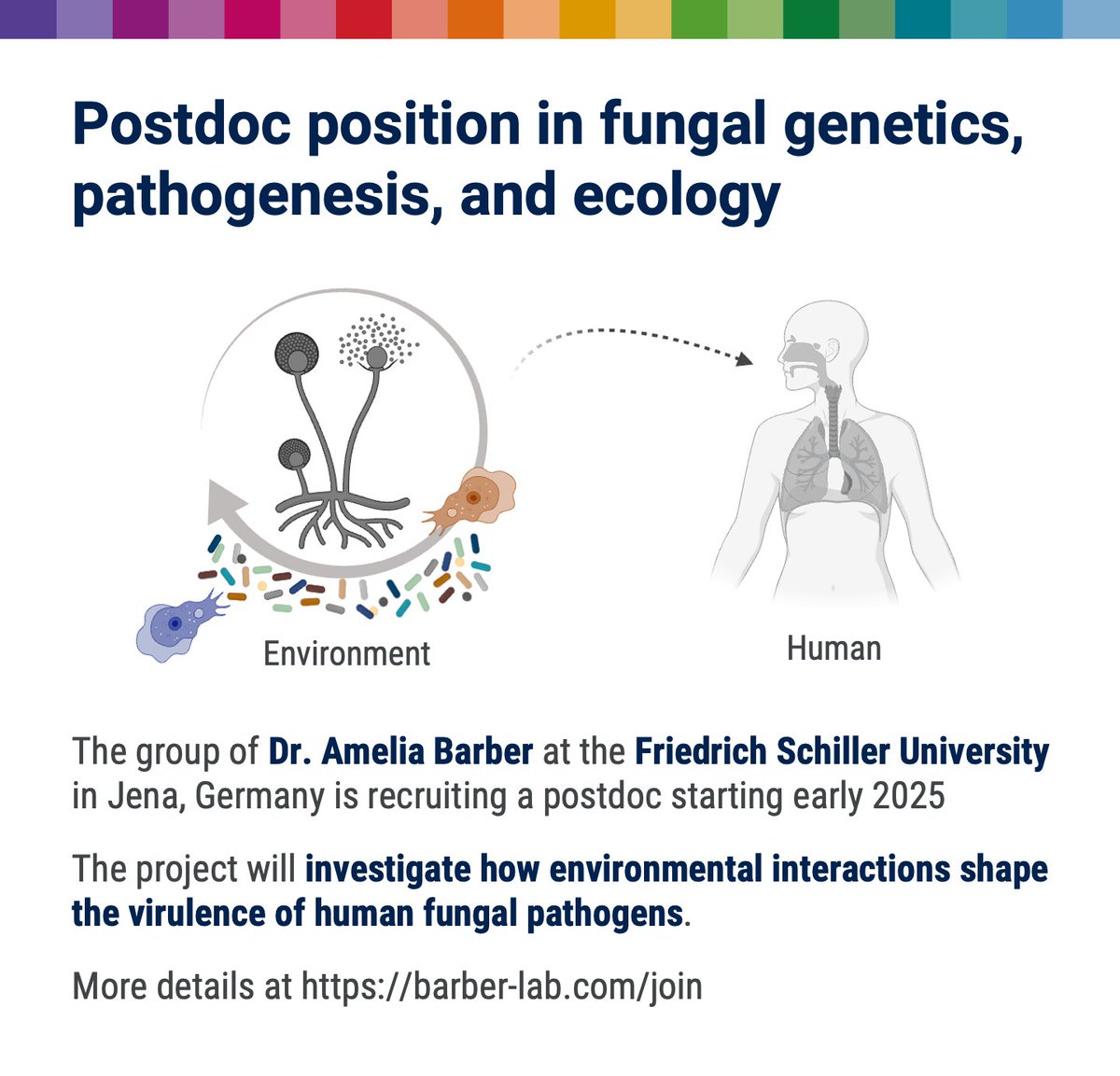 My group is recruiting a postdoc to study how environmental interactions shape the virulence of human fungal pathogens. Please RT! 

#postdocjobs #academicjobs #microbiologyjobs