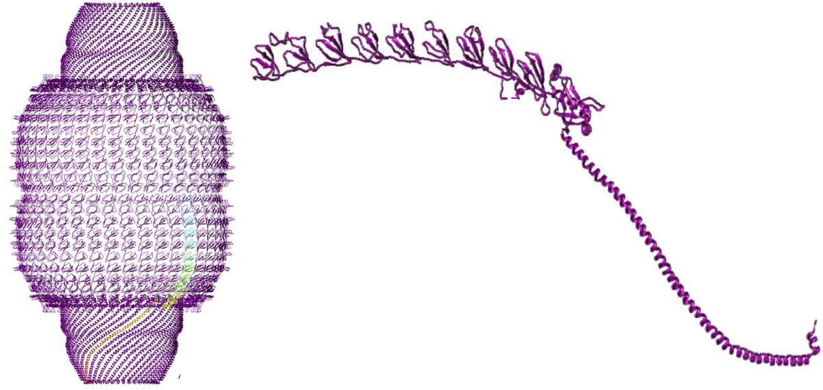 Bjorn Forsberg tweet media