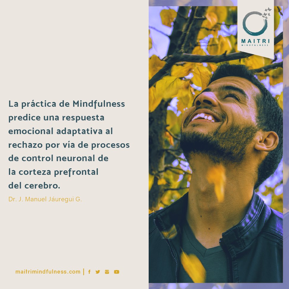 MaitriMx's tweet photo. Practicar #Mindfulness tiene que ver con la decisión de llevar una #vidaplena al dejar de reaccionar a nuestras experiencias desagradables y aprender a responder con ##sabiduria

#Maitri
Cursos y Talleres basados en #mindfulness
Más información: despertares.mx@gmail.com https://t.co/y8oKECpcPz