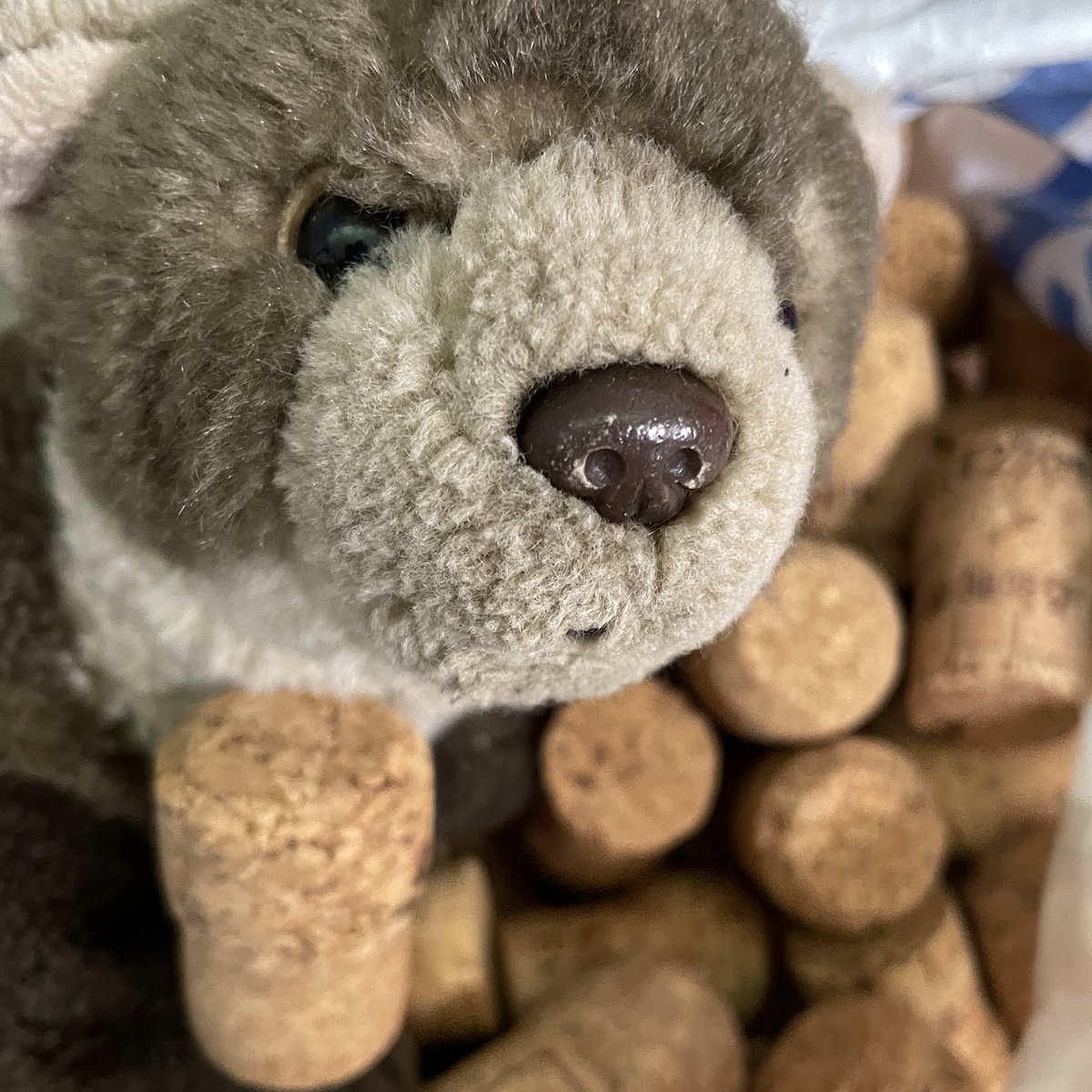 I think the meeting will be a corker!

#girlguiding #crafting #rainbows