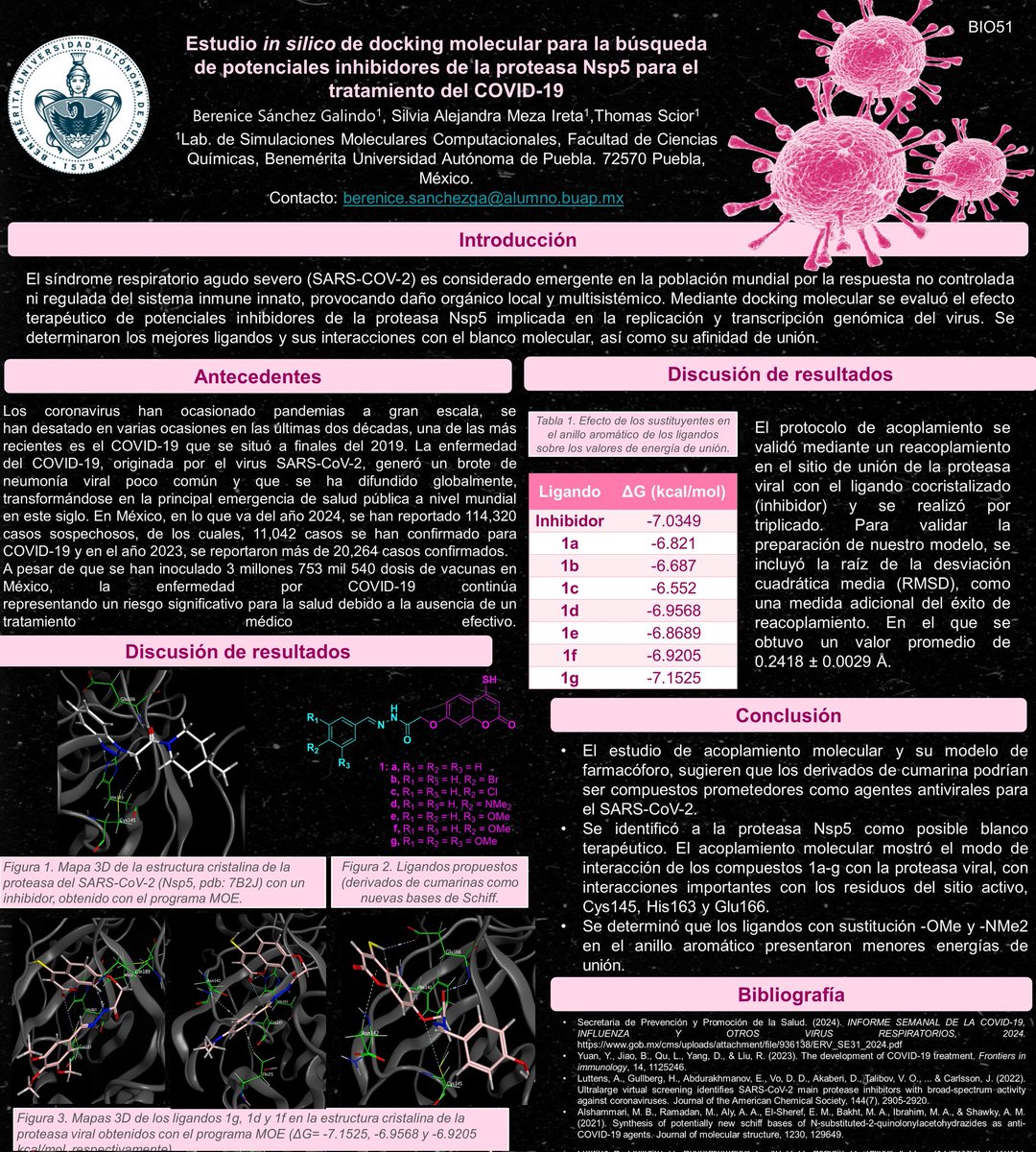 Berenice tweet media