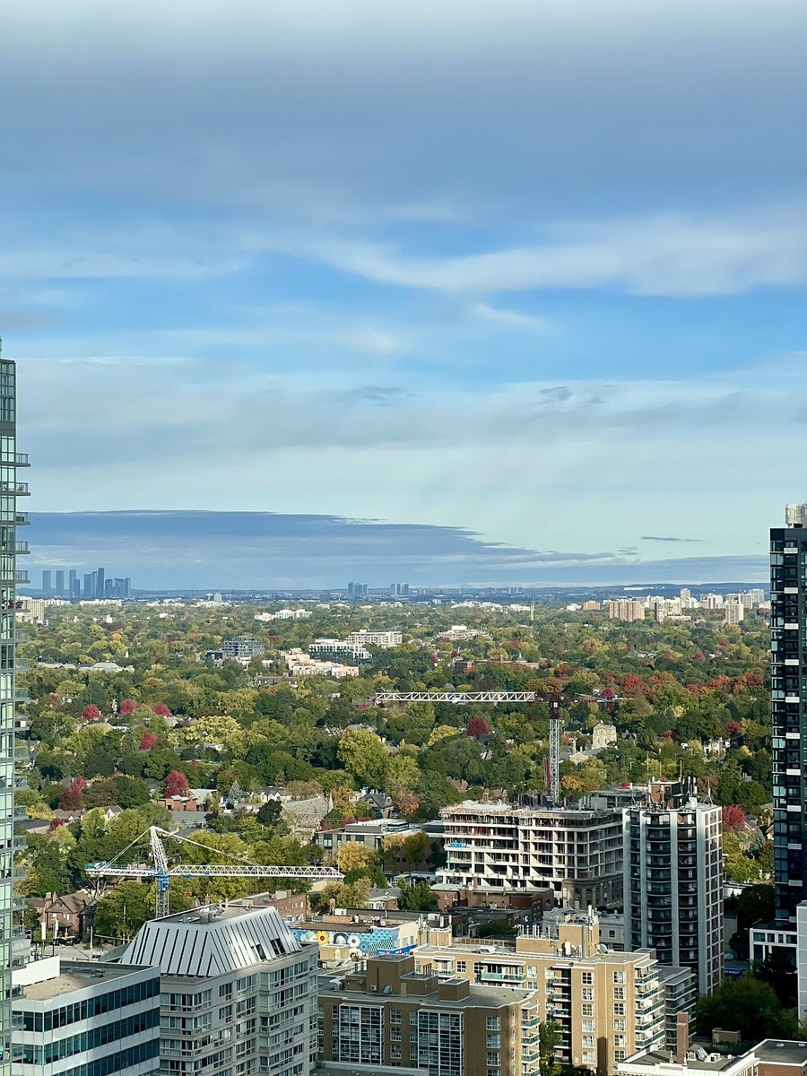 AliHalamid's tweet image. و دوباره این کپه‌های قرمز
#yesfilter