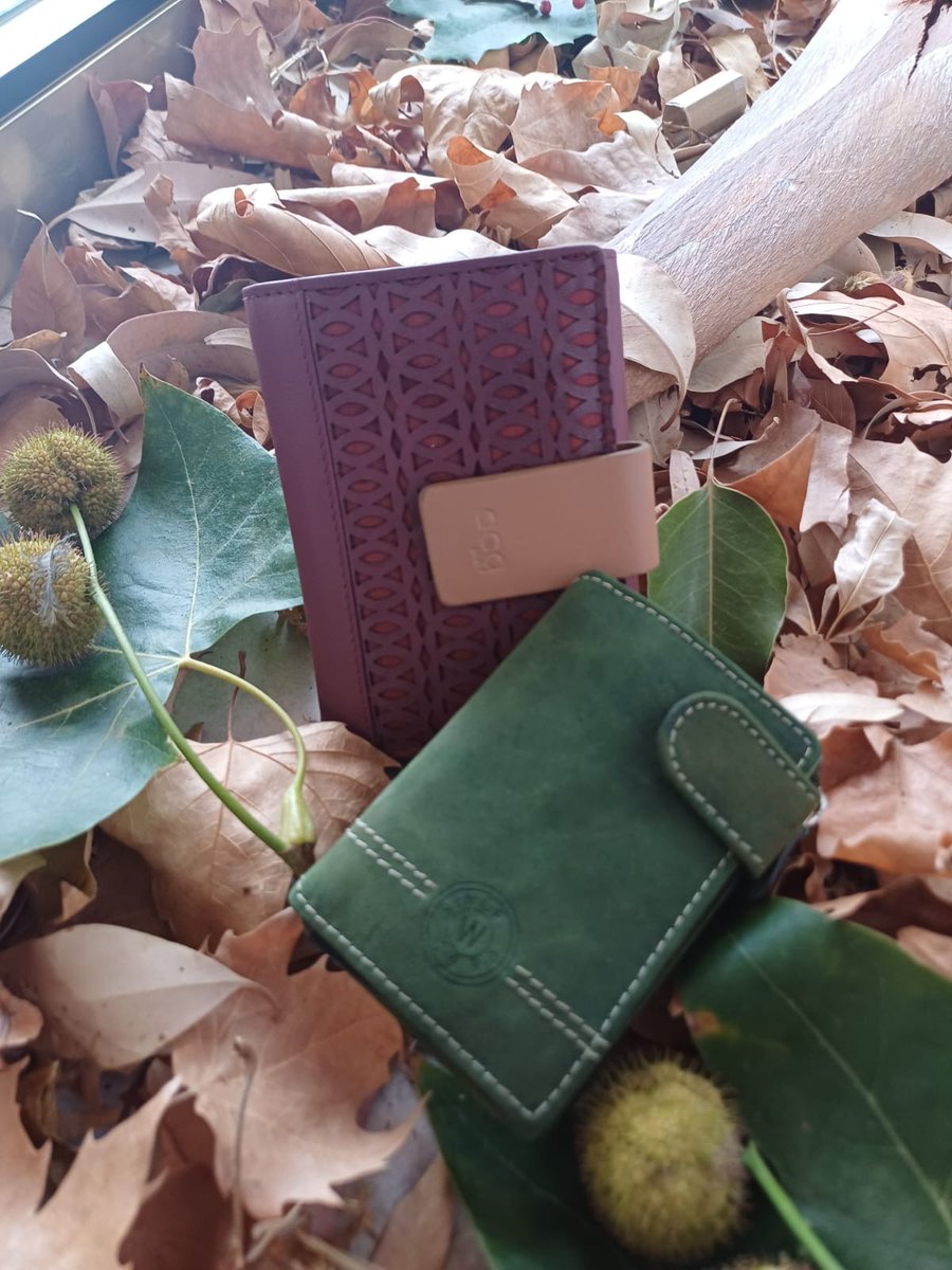 JoseIExposito's tweet photo. Si tienes que hacer un regalo o quieres darte un capricho, en ESTANCO LEONE´S de #PeñarroyaPueblonuevo podrás encontrar una amplia gama de carteras y monederos para hombres y mujeres. https://t.co/76aaFHv9I3