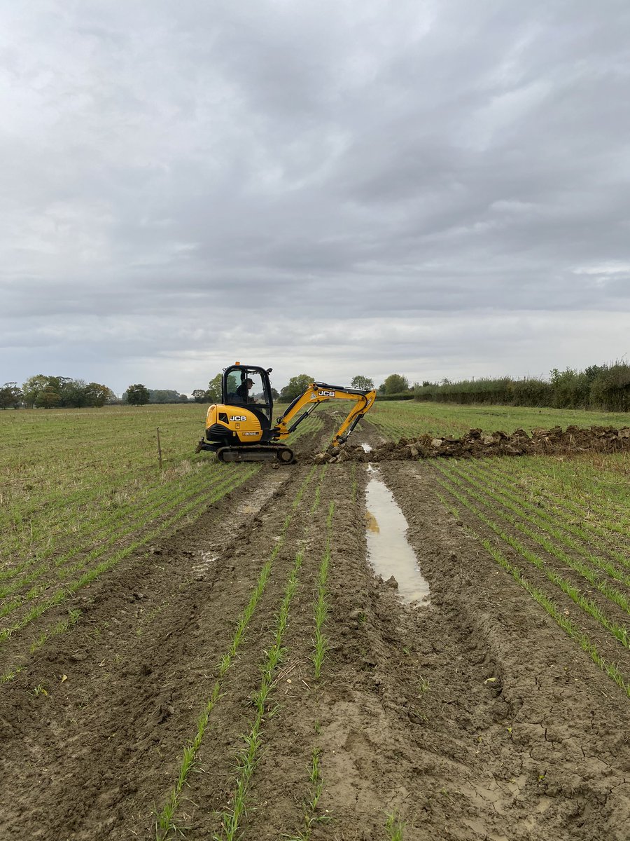 agri_ben's tweet photo. Laying a couple of land drains across the tramline to dry up some wet holes and ruts. #wheat coming along nicely https://t.co/jukS0L9hjW