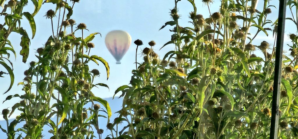 Chuck Webster MD, MS AI, MS Systems Engineering tweet media