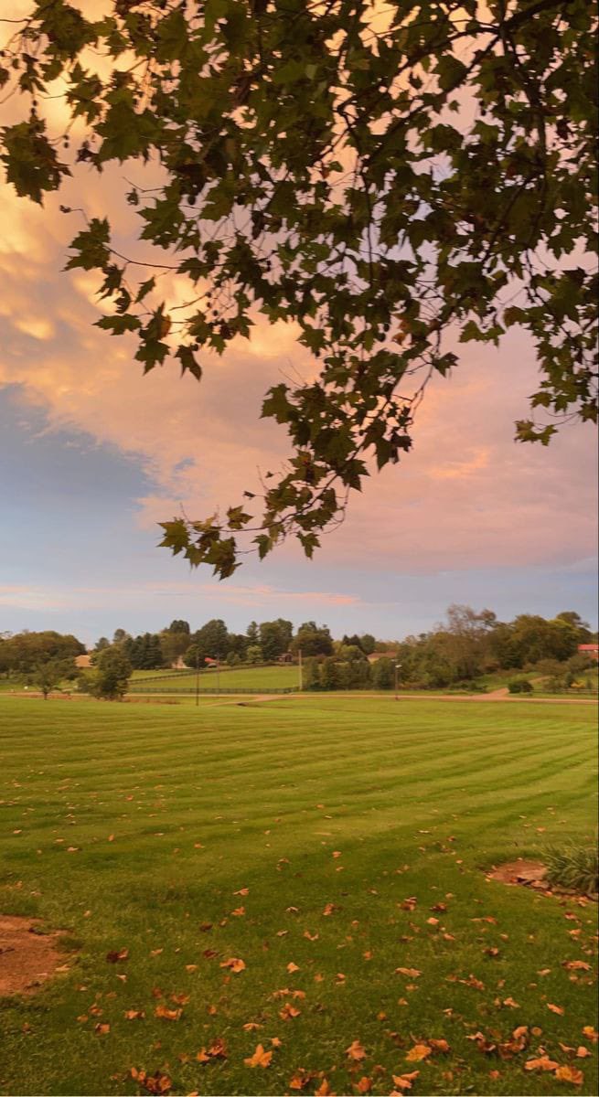 ᅠ ᅠ (@greendreaams) on Twitter photo 