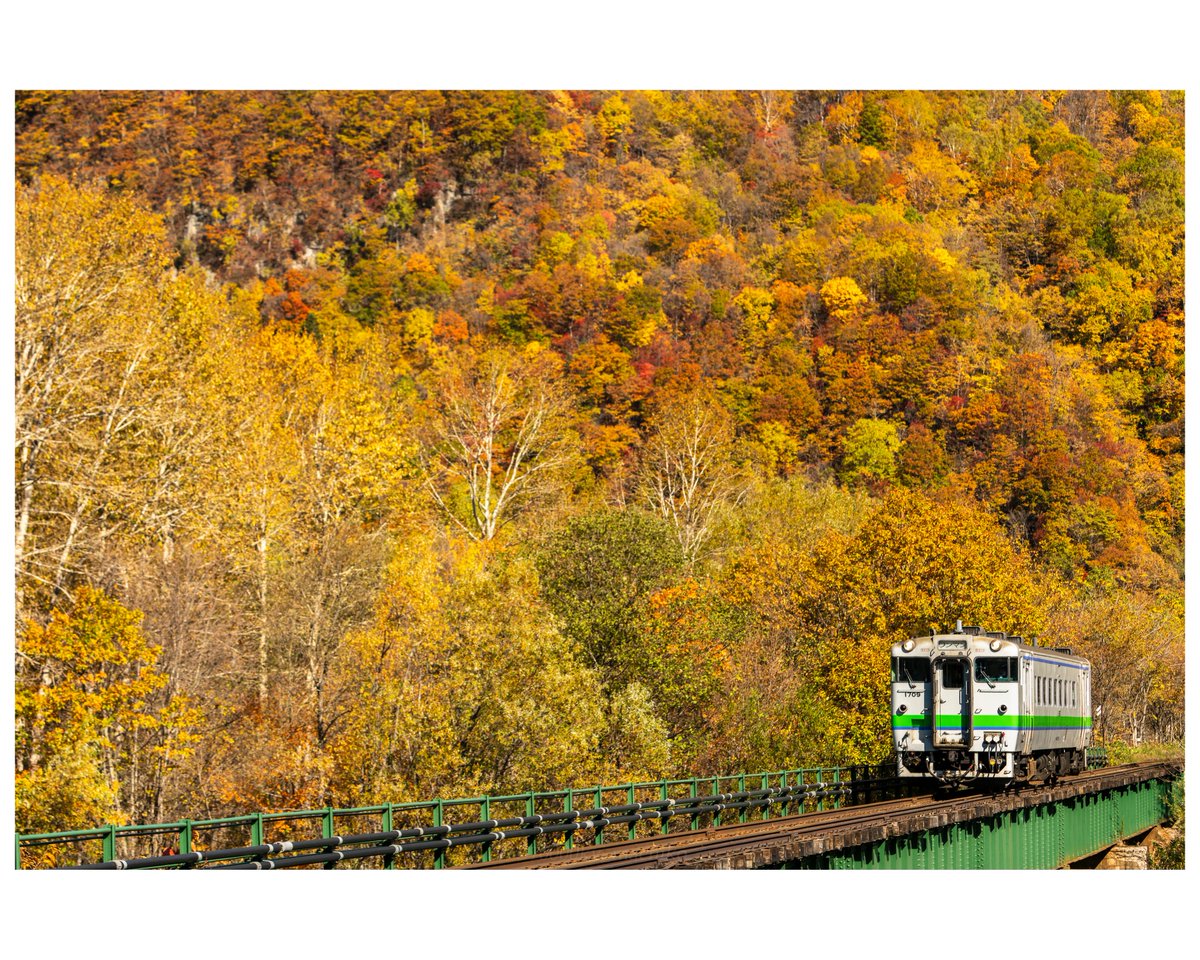 北海道の紅葉。
やはり石北本線が横綱ですね。

今日の団体臨時列車、自分は行けませんでしたが、今年も綺麗な紅葉だったんでしょうか。

自分が行った中だと、美しさは2021年が断トツでした。