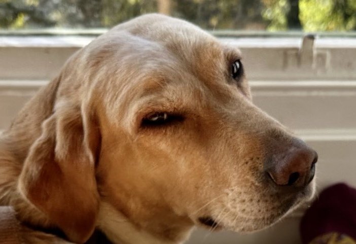 Sarah Trim-West tweet media