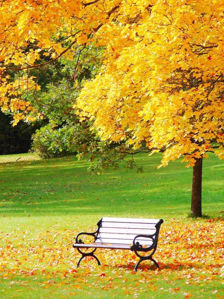 fraveris's tweet photo. There are those who seek a stage, those who seek a command bridge, those who seek a pedestal. Then there are those who would like only a bench, to stop and breathe and watch a blade of grass grow.

-- F. Caramagna https://t.co/9zZFyqTbQp