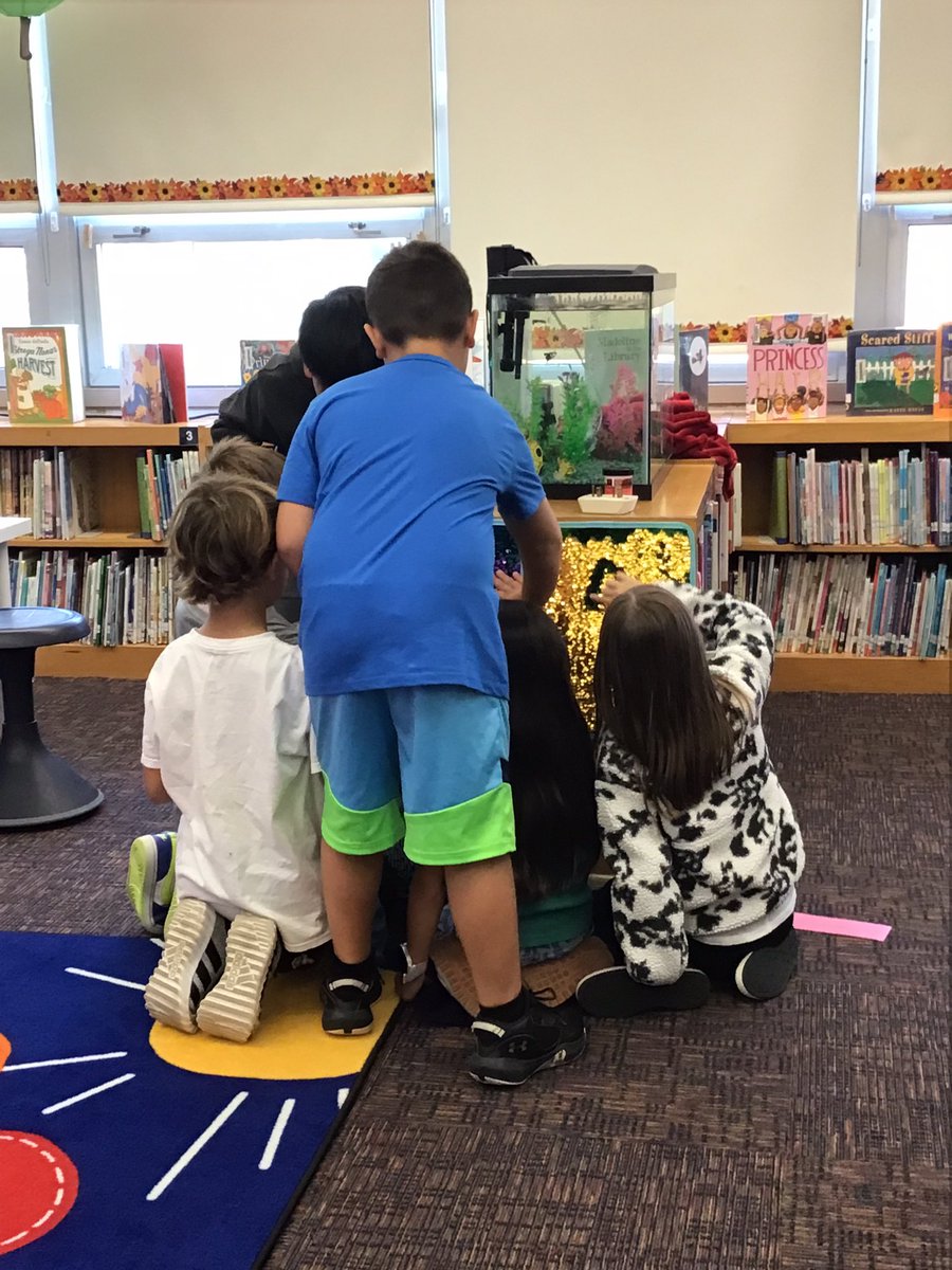 Hannah Thomas tweet media