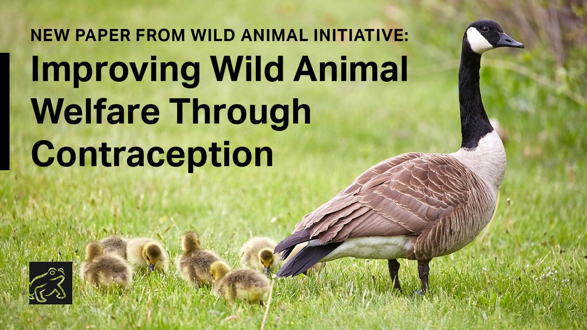 forwildanimals's tweet photo. Our latest paper is out in #BioScience now. We look at the neglected connection between welfare and population density, demonstrating how wildlife contraceptives could alleviate resource competition and associated negative welfare effects. https://t.co/mISeW09aGj https://t.co/kmz4Z1x4S9