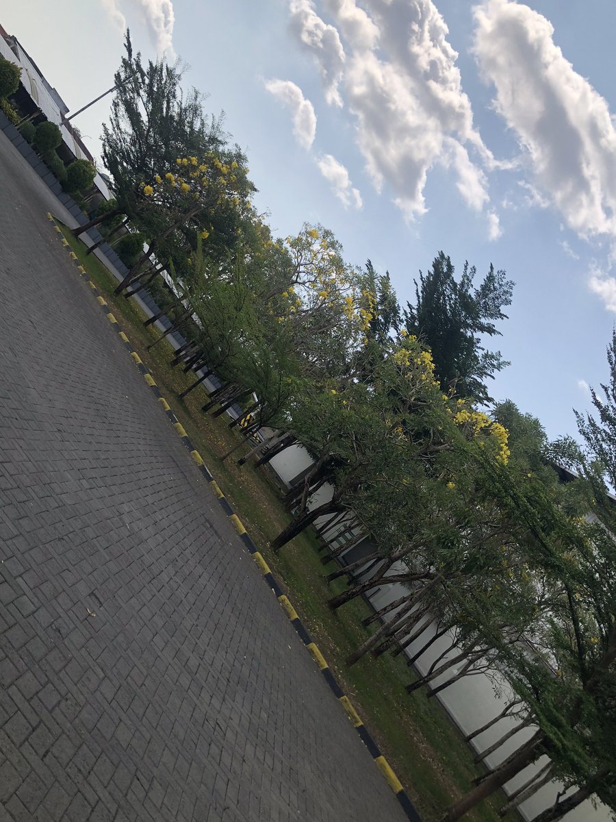 View saat berangkat dan pulang kerja