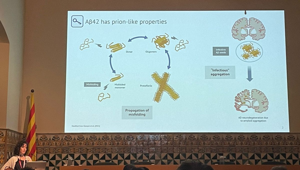 Aldea-Gallego Lab (@labaldea) on Twitter photo Thrilled to have attended the XXX Jornada de Biologia Molecular (<a href="/SCB_iec/">Societat Catalana de Biologia</a> ) & II CATCAT day (<a href="/CATCATbiology/">CATCAT - Cell and Tissue Research in Catalonia</a> ), where our PhD candidate <a href="/blanpofu/">Blanca</a> presented her research 💬
Huge thanks to the organizers for the chance to showcase our work and learn from fellow researchers! 💡🧬 Thrilled to have attended the XXX Jornada de Biologia Molecular (<a href="/SCB_iec/">Societat Catalana de Biologia</a> ) & II CATCAT day (<a href="/CATCATbiology/">CATCAT - Cell and Tissue Research in Catalonia</a> ), where our PhD candidate <a href="/blanpofu/">Blanca</a> presented her research 💬
Huge thanks to the organizers for the chance to showcase our work and learn from fellow researchers! 💡🧬