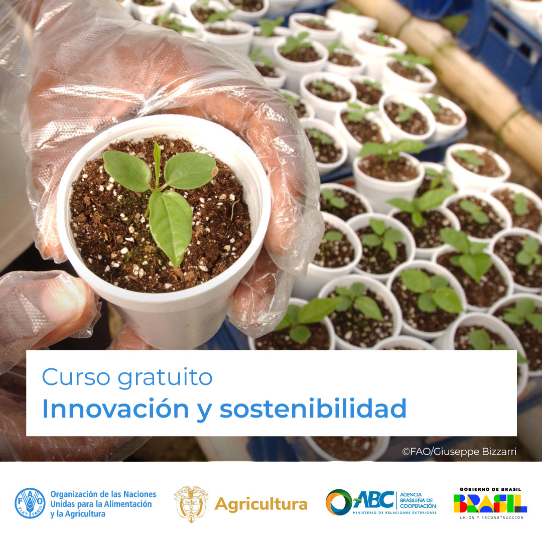 FAOAmericas's tweet photo. 🎓 Curso gratuito de @FAOCampus

🧩📲 Innovación y sostenibilidad en la Agricultura Familiar

Experiencias y soluciones para la sostenibilidad de los sistemas alimentarios.
 
¡Matricúlate! ➡️ https://t.co/nq49PgpcfB

Junto a @MinAgricultura @FAOBrasilCoop https://t.co/9lZ8MwEpiK