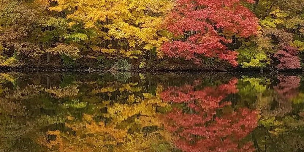 pafishandboat's tweet image. Pennsylvania's waterways make for excellent leaf-peeping opportunities, and the fall colors are popping!

Plan your scenic adventure ⬇️

Find the best color: ow.ly/Lgxp50PYGGN

And then find where to boat: ow.ly/11xY50PYGGL

 #PennsylvaniaFall #LeafPeeping #Boating