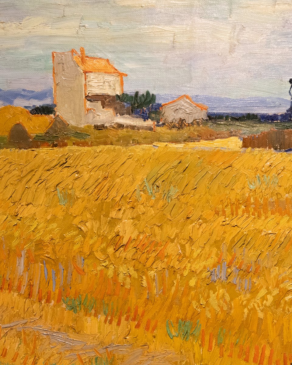 rijksmuseum's tweet photo. In the spring of 1888, Vincent van Gogh left for Arles. The bustling city of Paris became overwhelming for him. The vibrant colours of the southern French landscape caught his attention. The yellow of the wheat takes centre stage here, thanks to the high horizon. https://t.co/29ZUrYbVlA