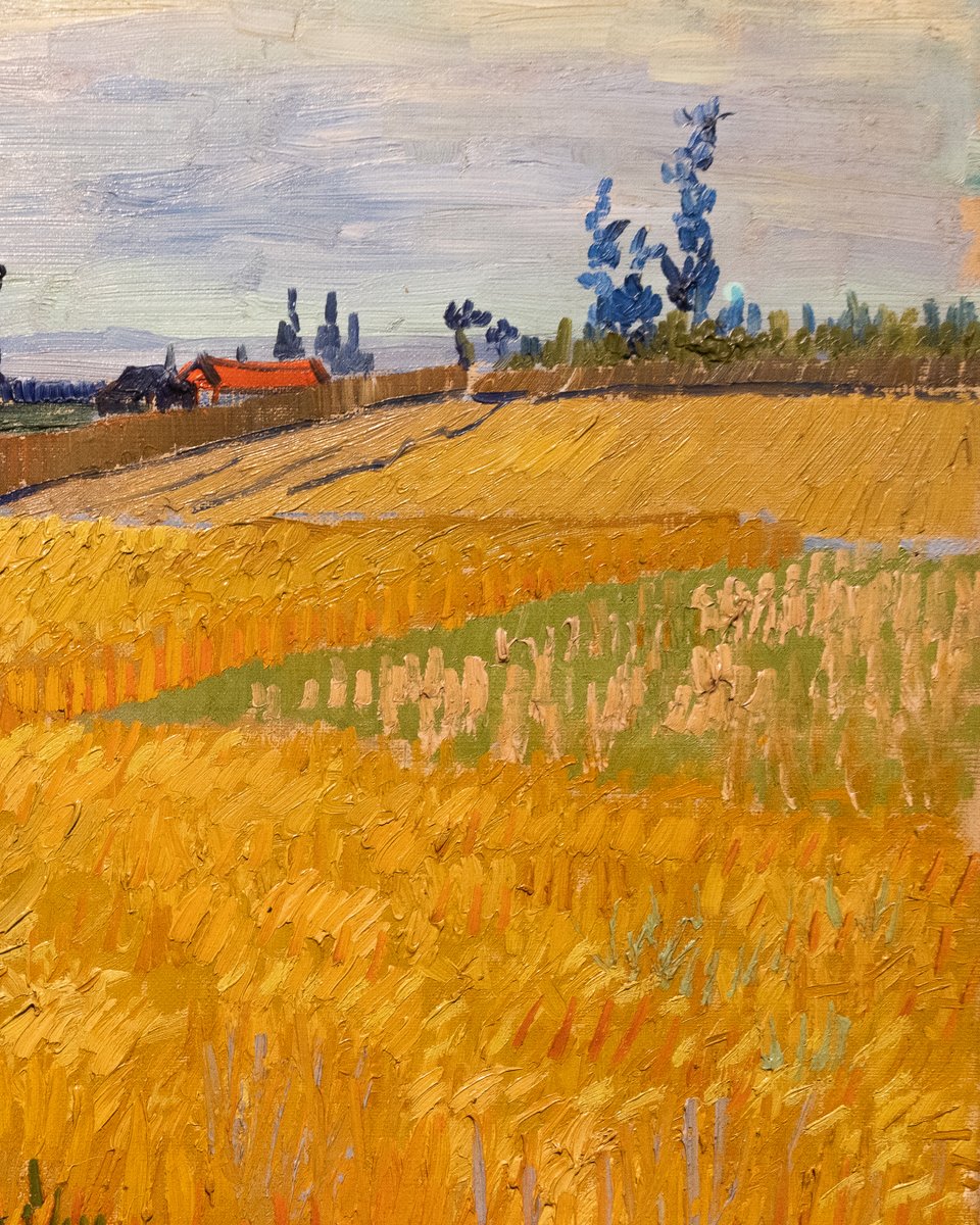 rijksmuseum's tweet photo. In the spring of 1888, Vincent van Gogh left for Arles. The bustling city of Paris became overwhelming for him. The vibrant colours of the southern French landscape caught his attention. The yellow of the wheat takes centre stage here, thanks to the high horizon. https://t.co/29ZUrYbVlA