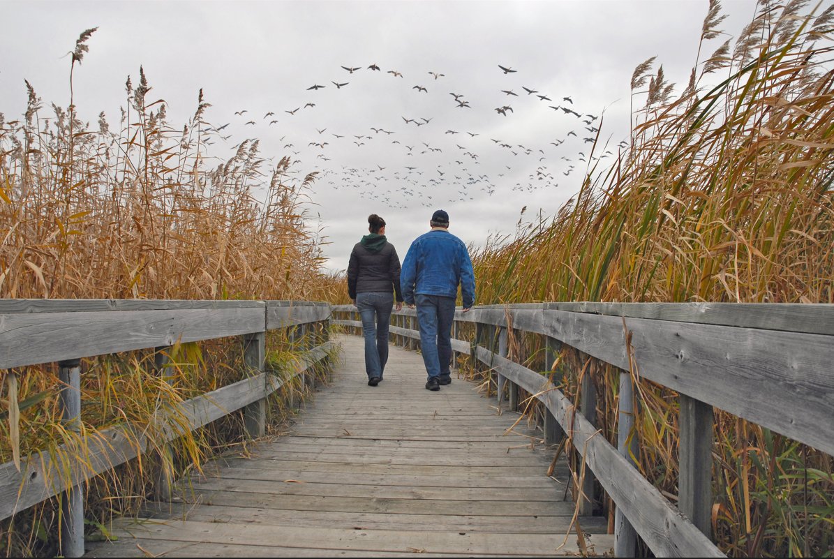Ducks Unlimited Canada sends a big thank-you to all our partners and people who help us help the planet by supporting our work to conserve, restore and safeguard the wetlands and upland habitat that waterfowl, wildlife and all of us depend on. 💚🦆