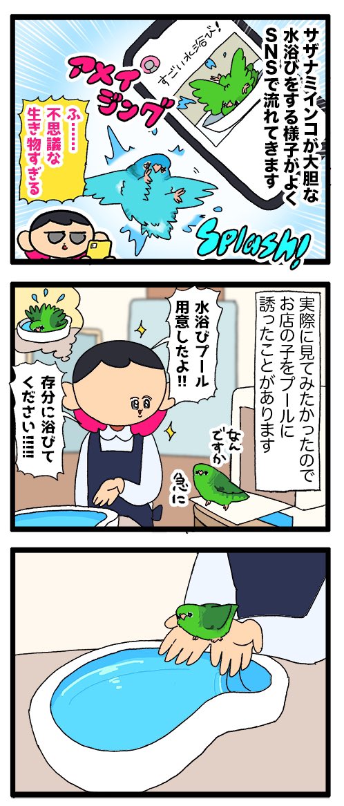 サザナミインコ、静かなる拒否(ぬるぬる)

1939 #えるポピの絵日記かくところ 