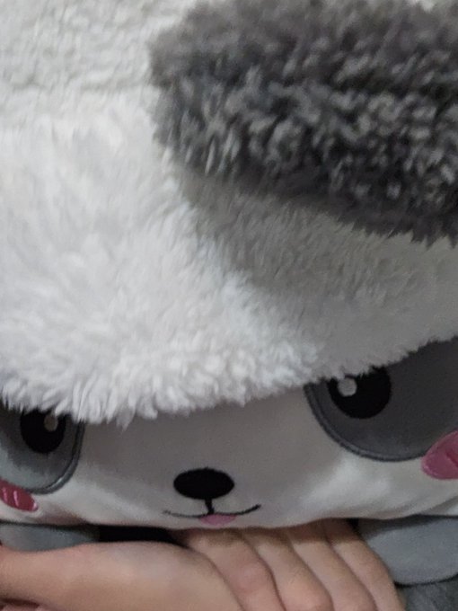 中井ゆゆのTwitter画像14