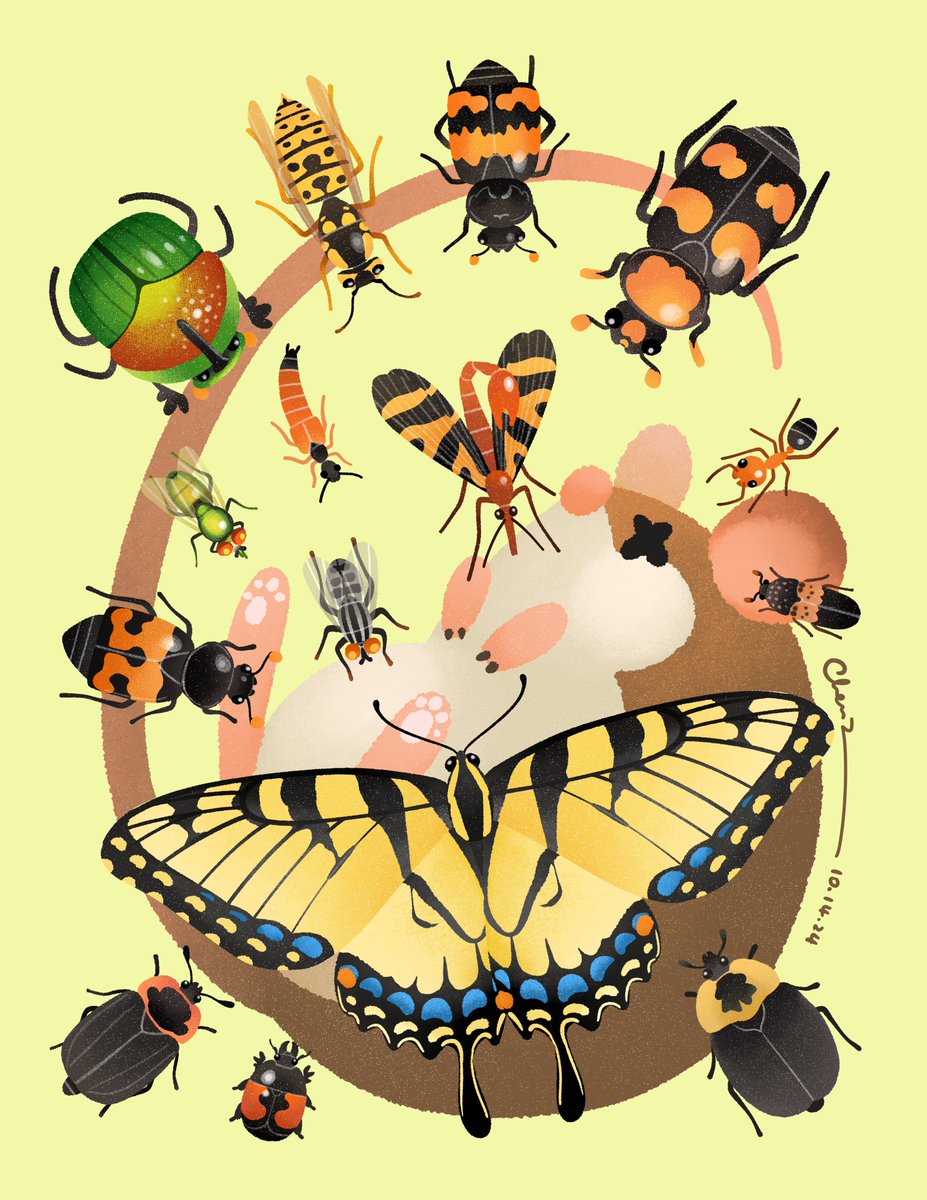 There will be angels come after death and clean up the bodies; not dressed in white but mostly in their yellow/orange and black Halloween costumes (such a delightful coincidence); the process may be messy but it’s 100% eco friendly and sustainable! 💛🖤