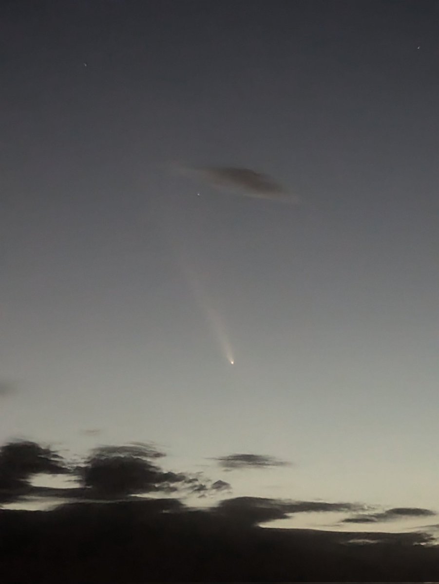 pircasa's tweet image. GN with a comet and some mushrooms. Glorious autumn weekend (Corronsac and Durfort, France)