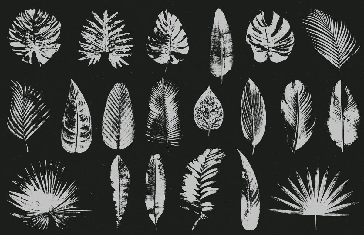 20 Vector Grungy Leaves - WeGraphics buff.ly/3NnE5AW