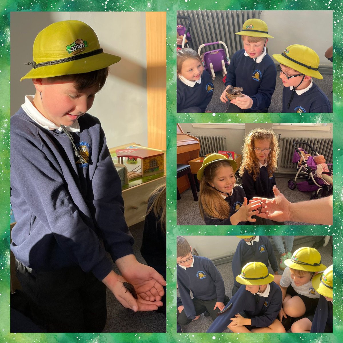 BallymacashPrimary tweet media