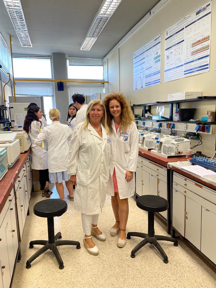 STEPUPIORS tweet media