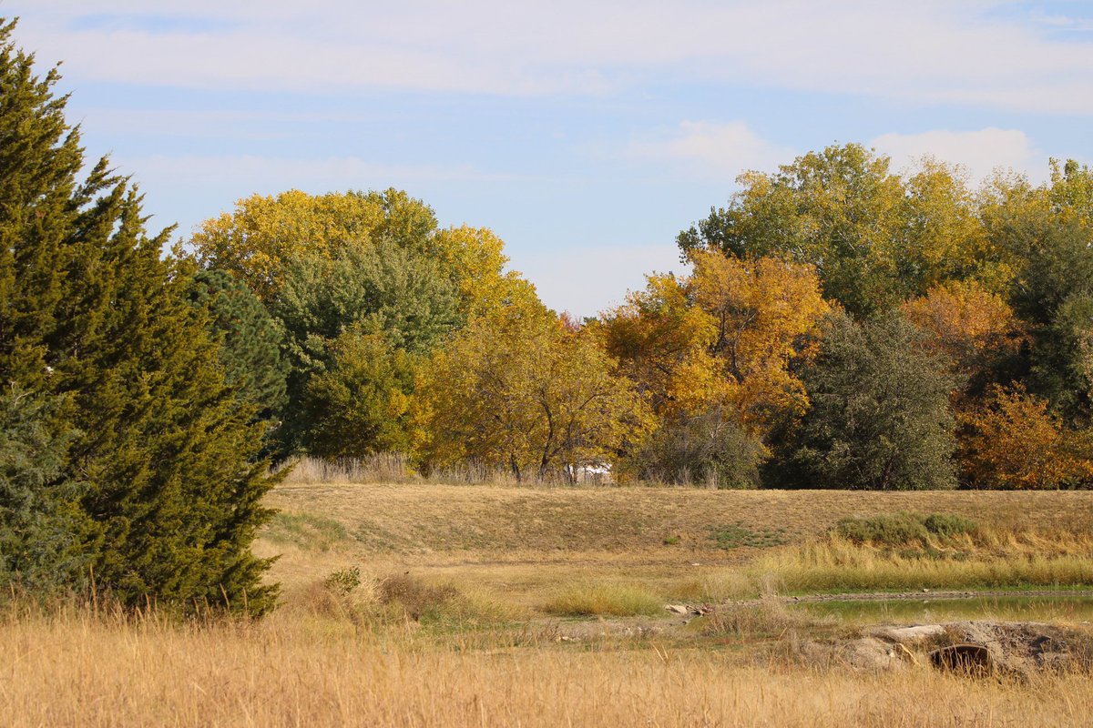 Some nature photography from this morning.