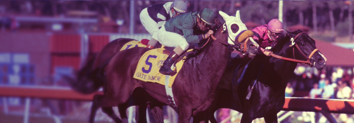 OaklawnRacing's tweet photo. In 1984, Oaklawn Handicap winner Wild Again was not to be denied in the inaugural @BreedersCup Classic! 🐎 🏆 Stay tuned as we continue to celebrate Oaklawn stakes winners who triumphed at the Breeders' Cup! 🌟 #WildAgain #BreedersCup #OaklawnRacing https://t.co/nVsuq4Dlmh
