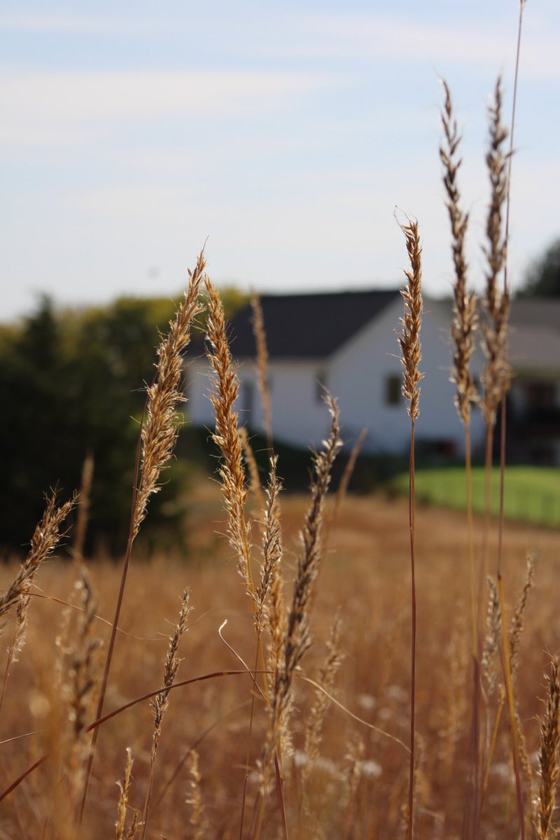 More nature photography from this morning.