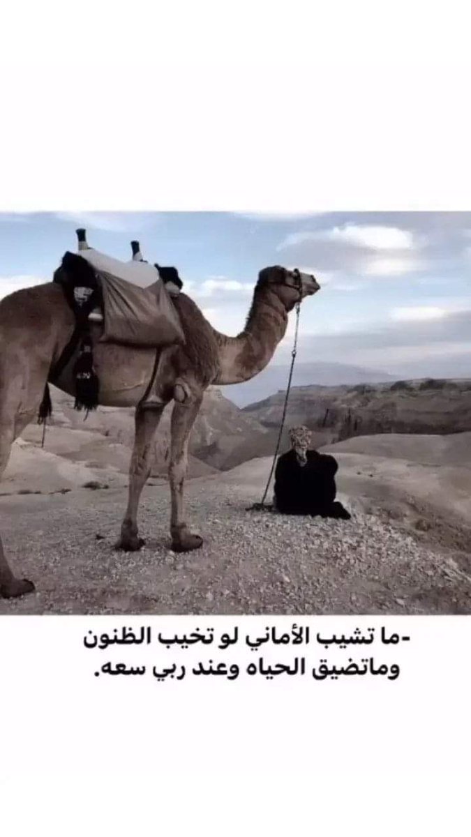 محمد جمال (@mooha8913) on Twitter photo 