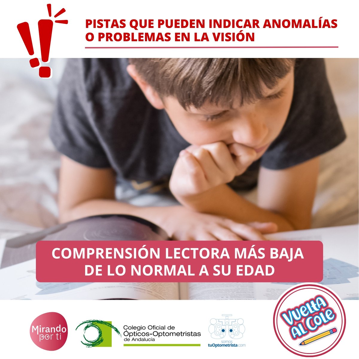 ContacVision tweet media