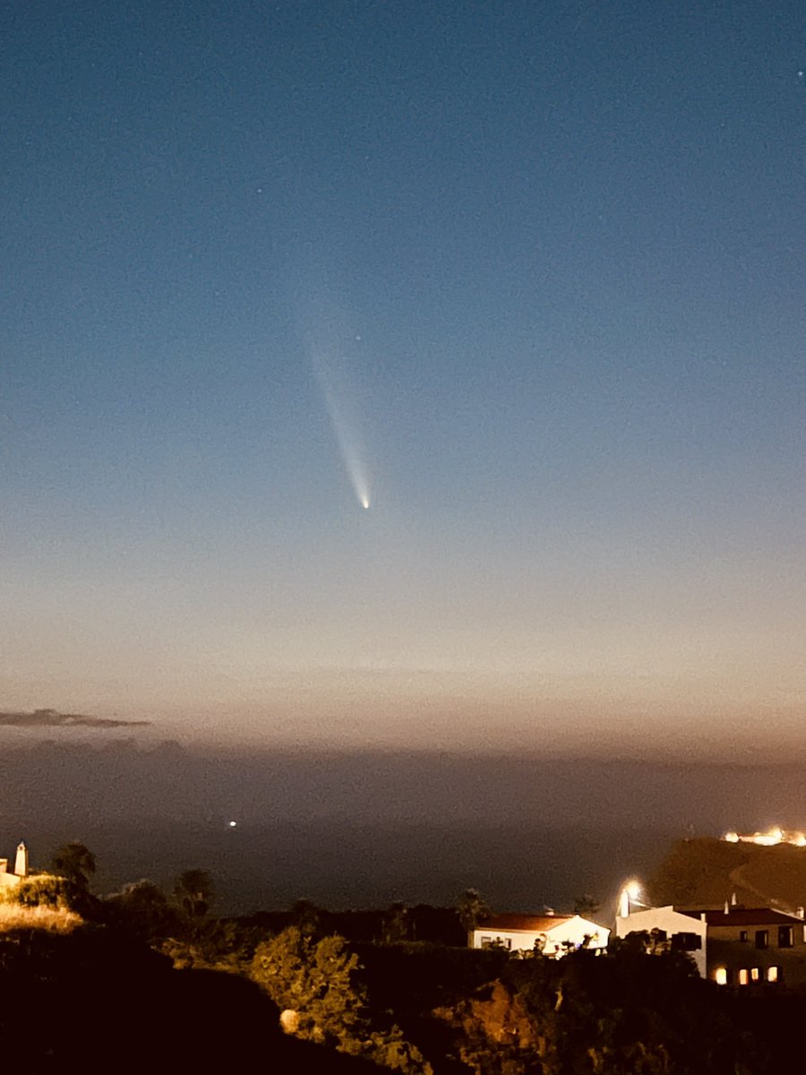 Rute Oliveira (@profruteoli) on Twitter photo 