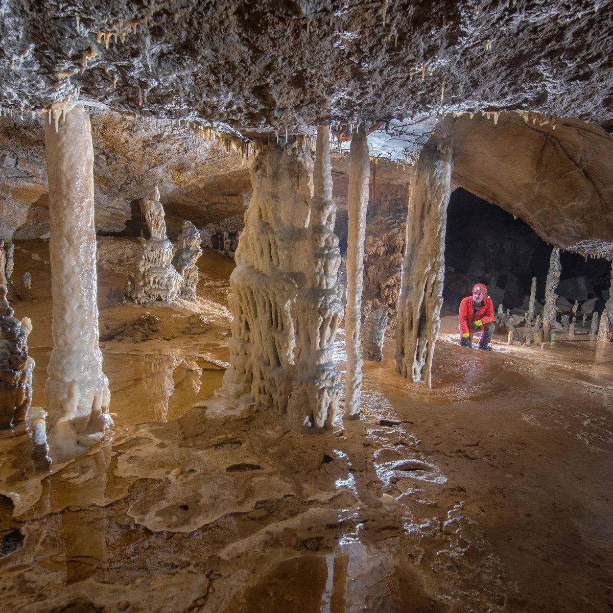 Cueva Palomera cuevaojoguarena.com