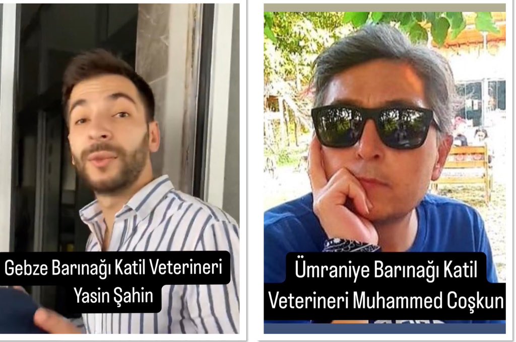 Gebze barınağında ve Ümraniye Barınağında, kedileri köpekleri öldüren, ölüme terkeden Gebze barınağı Veterineri Yasin Şahin ve Ümraniye barınağı Veterineri Muhammed Coşkun nun , DERHAL veterinerlik diplomalarının İPTAL edilmesini ve yargılanmalarını istiyoruz !!
