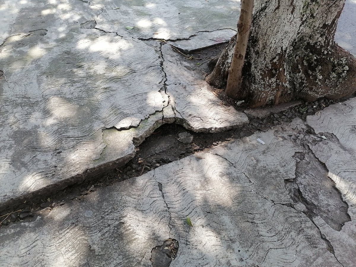 quorum_mx's tweet photo. 👨🏾‍🦯⚠️ Hoyos, coladeras, desniveles en las banquetas y falta de paso podotáctil estos fueron algunos de los obstáculos que personas con #DiscapacidadVisual se encontraron en su camino desde #ACRIP al paseo bravo.
📷Aurora Valderrábano https://t.co/uT23wu8T7I
