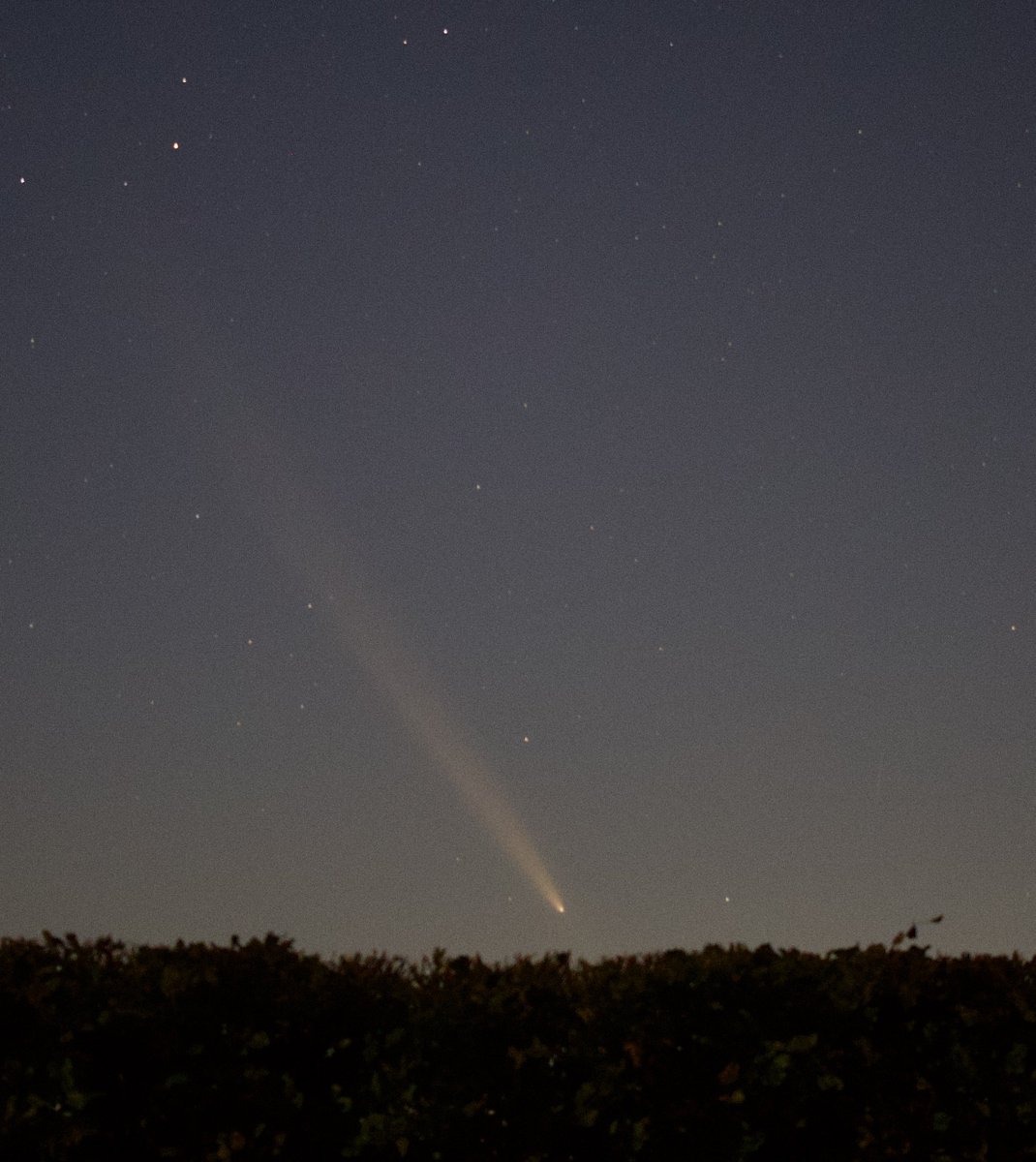 Carlow Weather tweet media